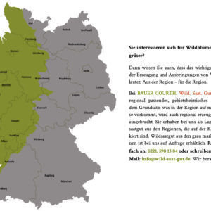 Fettwiese – 100 % Blumen – Wild. Saat. Gut.